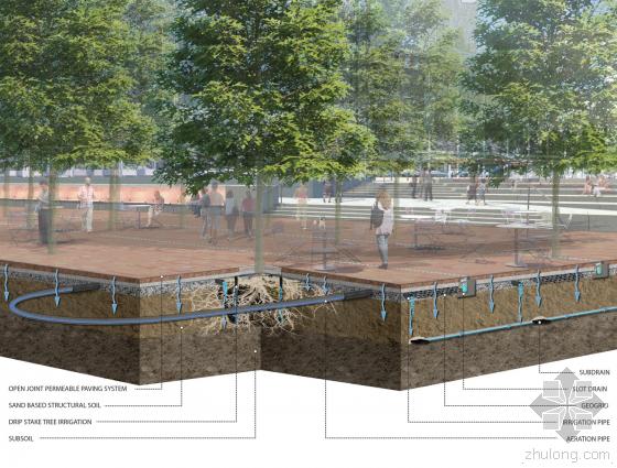 美國(guó)麻州政廳廣場(chǎng)效果圖-美國(guó)麻州政廳廣場(chǎng)第3張圖片