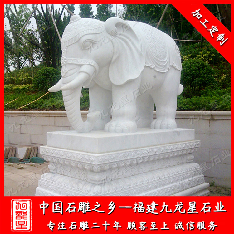 1626083121872520.jpg 大象 (152)